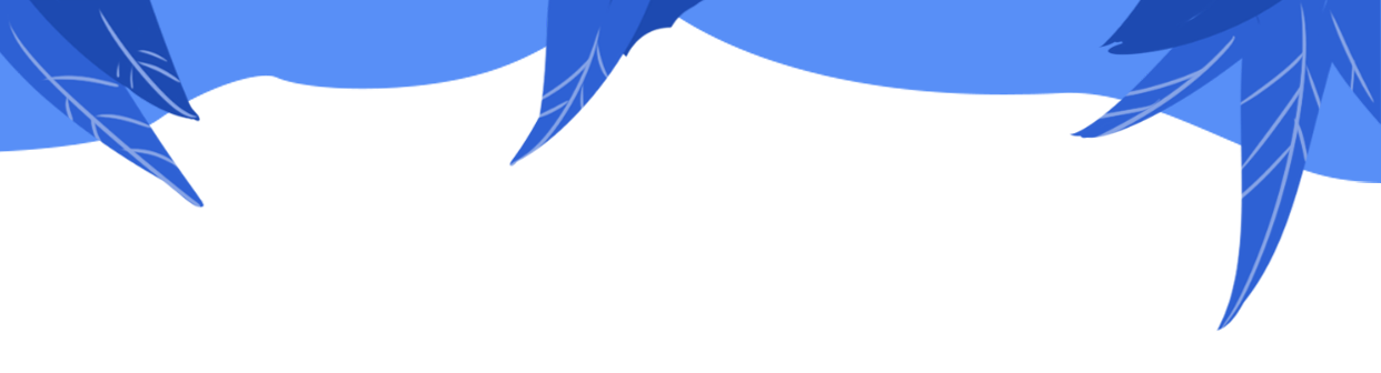 1955011.png